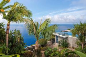 カニコにあるOurMadeira - Villa Aquarela, panoramic seaviewsの海の前のヤシの木がある家