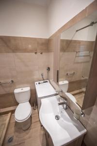 uma casa de banho com um lavatório, um WC e um espelho. em Vicky's Luxury Apartment em Kanoni