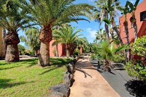 Vonkajšia záhrada v ubytovaní Casa Mimi Oasis Tamarindo