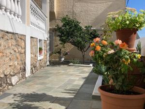 une cour avec des plantes en pot dans un bâtiment dans l'établissement Olga's Place, à Spetses