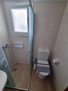 La salle de bains est pourvue d'une douche et de toilettes avec une fenêtre. dans l'établissement Olga's Place, à Spetses