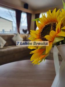 a vase filled with a sunflower in a room at 7 Lakes Breaks at 7 Lakes Country Park in Crowle