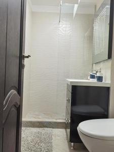 a bathroom with a toilet and a sink at Apartament Garofitei in Constanţa