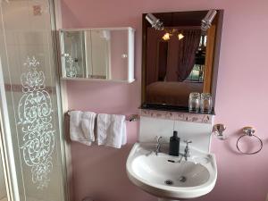 a bathroom with a sink and a mirror and a shower at Mayrone House B&B in Donegal
