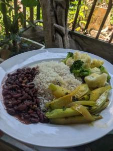 a plate of food with rice and beans and broccoli at Ecobosque el mar in Rancho Quemado