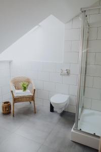 a bathroom with a toilet and a chair and a shower at Dom na łące in Lubawka