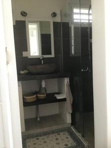 a bathroom with a shower and a sink and a mirror at Pkbleucoco in Opoa