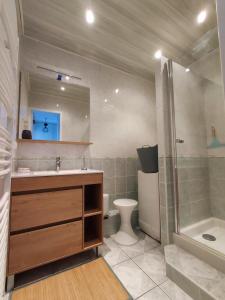 y baño con lavabo, ducha y aseo. en studio meublé classé 2 étoiles - 30m² en Gréoux-les-Bains