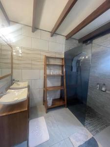 La salle de bains est pourvue d'une douche et d'un lavabo. dans l'établissement Entre Volcan et Montagnes, à La Plaine des Cafres