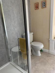 a bathroom with a toilet and a glass shower at Dreel Cottage in Anstruther
