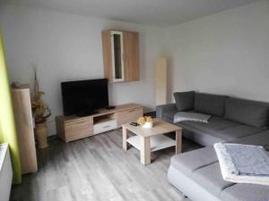 ein Wohnzimmer mit einem Sofa und einem TV in der Unterkunft Auf dem Land und doch ganz nah (EG) in Krölpa