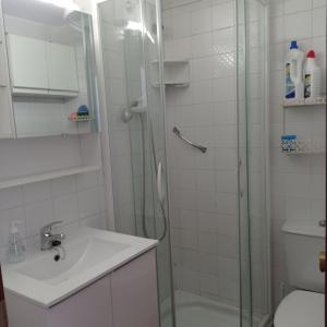 a bathroom with a shower and a sink and a toilet at Empuriabrava Vue Mer in Empuriabrava
