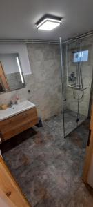 a bathroom with a shower and a sink at Rivr House Bucovina in Câmpulung Moldovenesc