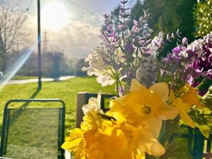 a vase filled with yellow and purple flowers at THREE BEDROOM Rural, relaxing and peaceful,DOGS welcome! in Abergavenny
