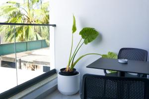 a table and chair next to a window with a plant at Hotel Morfeus in Durrës