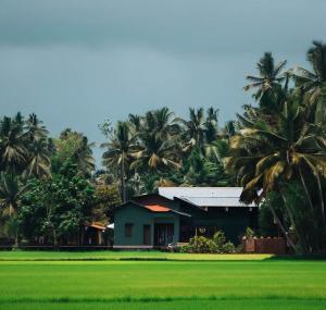 a house in the middle of a field with palm trees at Coco Garden Holiday Homes in Anuradhapura