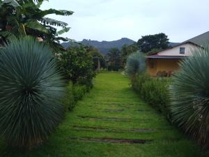a garden with palm trees and a house at Sítio Descanso E Natureza Igarapé - 20km Inhotim in Igarapé