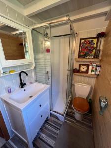 a bathroom with a sink and a shower and a toilet at Chalet authentique in La Salette-Fallavaux