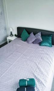 レーゼクネにあるAdd Story Guest Houseの大型ベッド(緑と紫の枕付)
