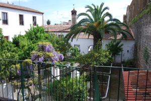 a courtyard with a palm tree and a building at Casa da Muralha de Serpa in Serpa