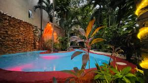 uma piscina num quarto com plantas em Hotel B&B - 5th Avenue em Playa del Carmen
