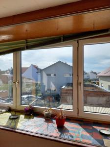 una ventana con tres macetas sentadas sobre una mesa en 2 Zimmer Monteur Wohnung DG, en Riedstadt