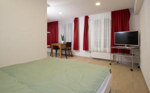 TV a/nebo společenská místnost v ubytování Hotel Ochsen Rapperswil/BE