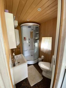 a bathroom with a shower and a sink and a toilet at Elo Külalismaja in Kuressaare