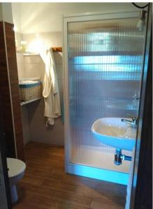 W łazience znajduje się prysznic, umywalka i toaleta. w obiekcie Floral garden house w mieście Icod de los Vinos