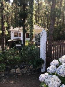 Fotografie z fotogalerie ubytování Floral garden house v destinaci Icod de los Vinos