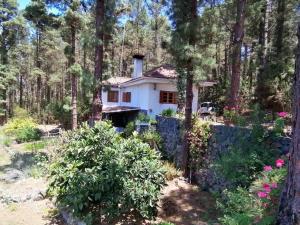 Fotografie z fotogalerie ubytování Floral garden house v destinaci Icod de los Vinos