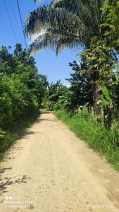 a dirt road with palm trees on the side at CASA VACACIONAL CAMPOSOL in Melgar