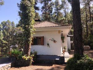 Fotografie z fotogalerie ubytování Floral garden house v destinaci Icod de los Vinos