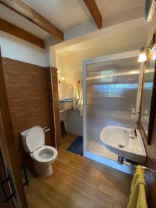 a bathroom with a toilet and a sink at Floral garden house in Icod de los Vinos