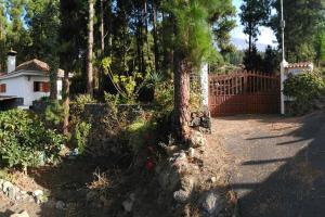 Fotografie z fotogalerie ubytování Floral garden house v destinaci Icod de los Vinos