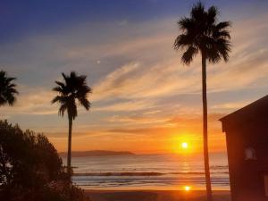 a sunset on the beach with two palm trees at Ocean View Kamogawa - Vacation STAY 61073v in Kamogawa