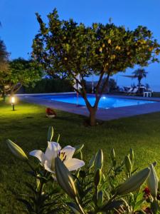 a white flower in front of a pool at night at Etna Bike Holiday in Zafferana Etnea