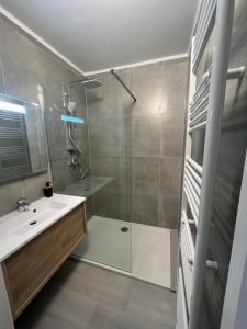 e bagno con doccia, lavandino e vasca. di Apartment Brussels Airport and NATO OTAN headquarters a Machelen