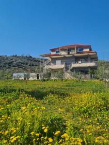 a house on a hill with a field of flowers at Guest House Ilir in Berat