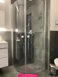 y baño con ducha y puerta de cristal. en Bodmen B, en Zermatt