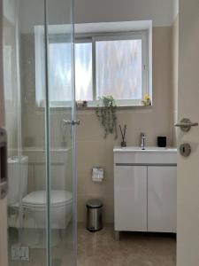 a bathroom with a shower and a toilet and a sink at mamila apartment in Jerusalem