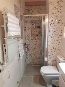 uma casa de banho com um chuveiro e um WC. em Sunny Bay House em Kotor