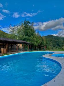 duży niebieski basen z altaną w obiekcie Saliuk Lodge w mieście Solochin