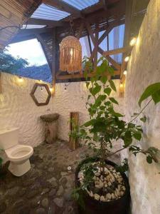 a bathroom with a toilet and a potted plant at finca playa seca in Santa Fe de Antioquia