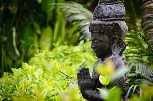 Zahrada ubytování Bali Garden Beach Resort
