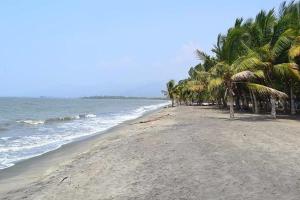 - une plage avec des palmiers et l'océan dans l'établissement cabaña villa Oti 1, à Ciénaga