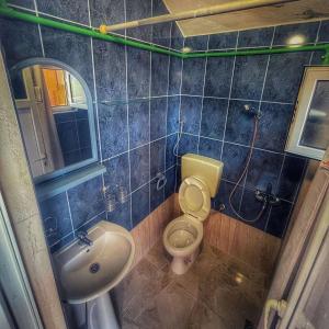 een kleine badkamer met een wastafel en een toilet bij Apartments Zeneva in Donji Štoj
