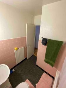 a pink bathroom with a toilet and a green towel at Studio charmant centré à Lausanne in Lausanne
