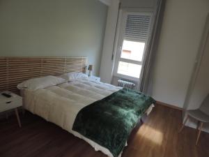 a bedroom with a large bed and a window at Sciesa Guest House in Verona
