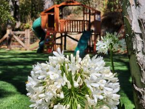 a vase of white flowers next to a tree at Cabaña del Bosque Tapalpa Country Club L7M15 QueridaEstancia in Tapalpa